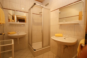 Bad Appartement 11 - Haus Katharina, Schladming